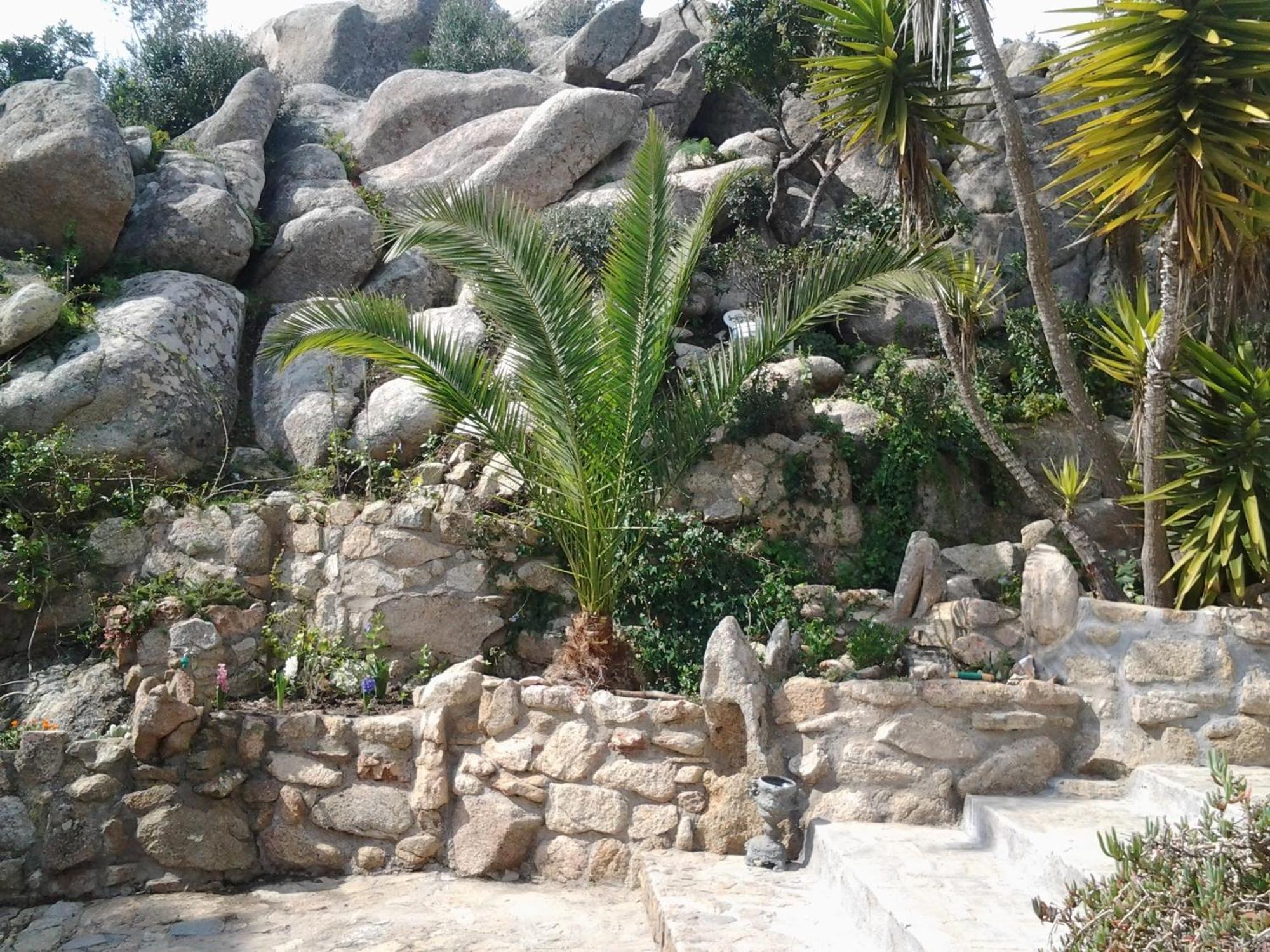 La Fonte Dell'Ulivo 3 Bed and Breakfast La Maddalena  Buitenkant foto