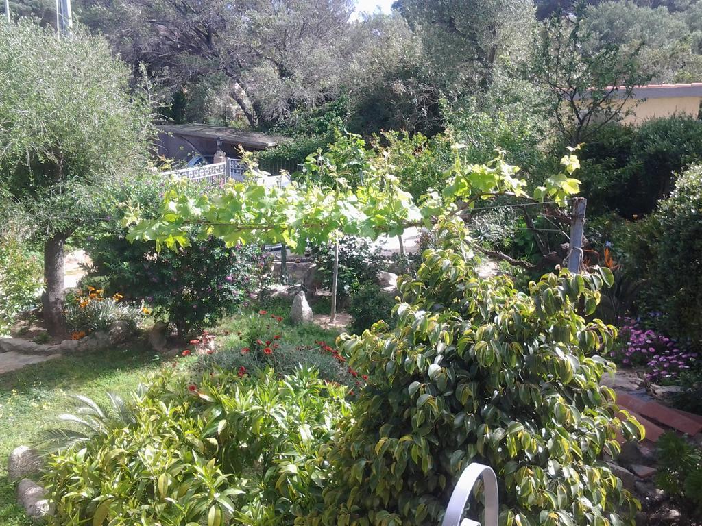 La Fonte Dell'Ulivo 3 Bed and Breakfast La Maddalena  Buitenkant foto