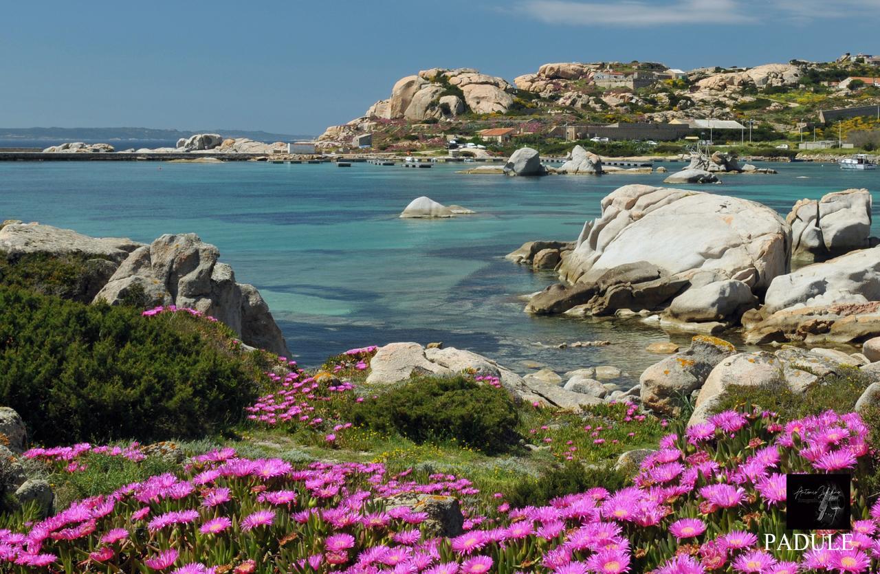 La Fonte Dell'Ulivo 3 Bed and Breakfast La Maddalena  Buitenkant foto